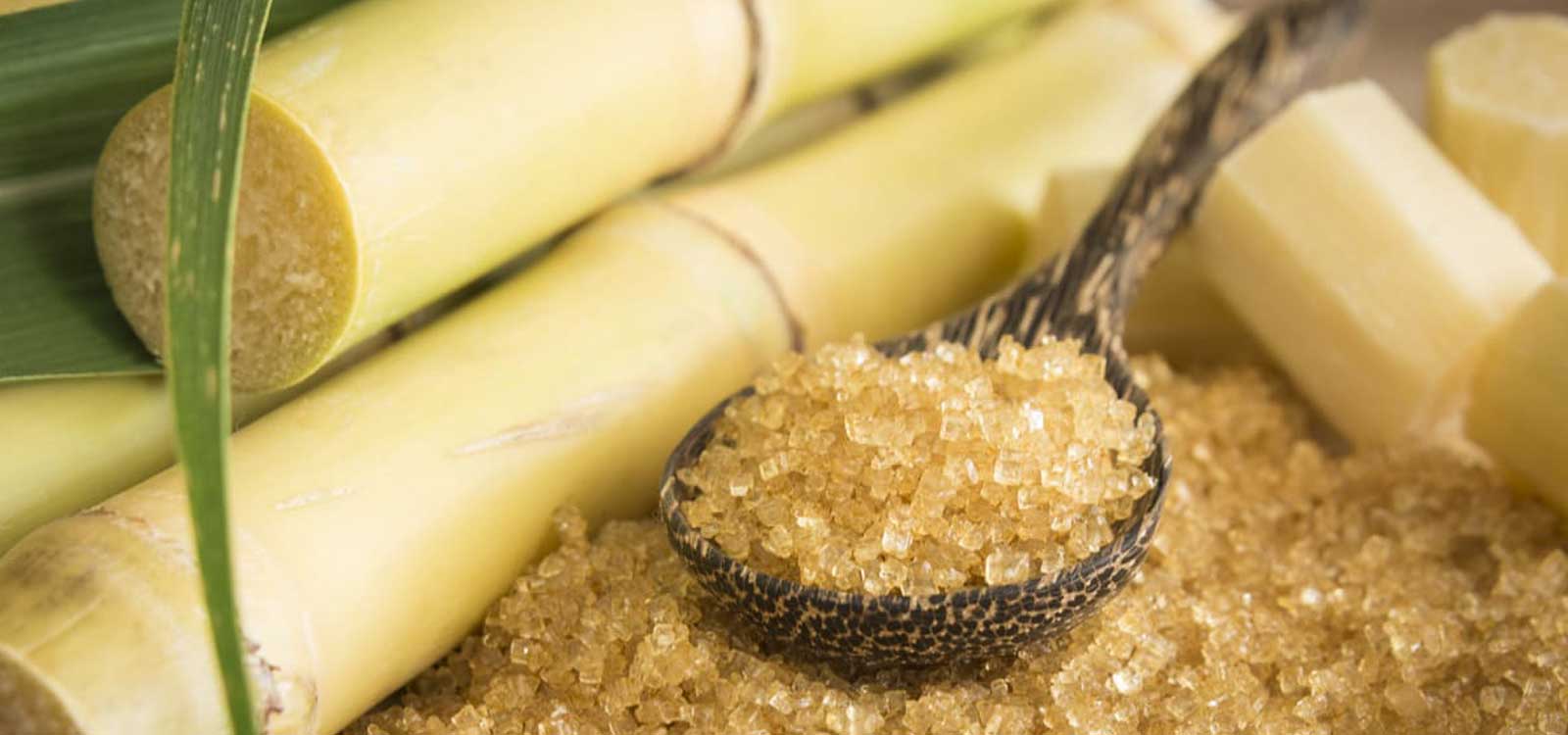 Comment Faire Du Sucre De Canne Maison