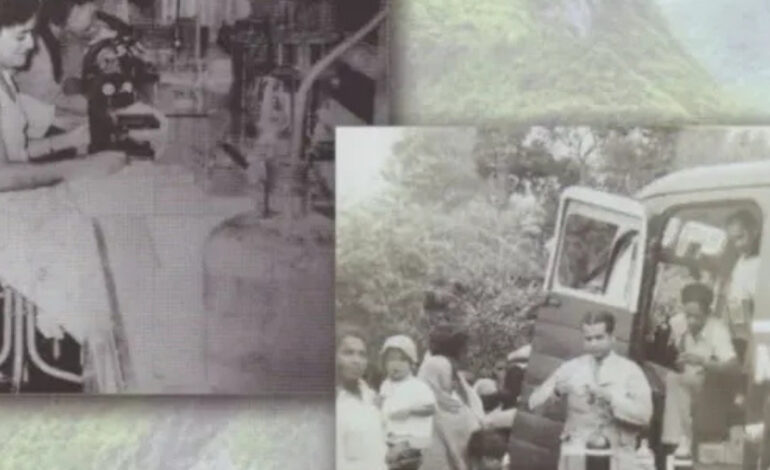  The Forgotten Plagues: How Disease Shaped Early Mauritian Society